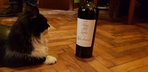 De 2xAntinori. Ziua a doua: extaz cu Brunello din Vignaferrovia