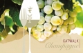 The final toast of the 27th edition of the Merano WineFestival: a Champagne parade!