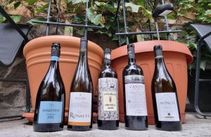 Un Merlot și un Cabernet pentru cei mai buni prieteni