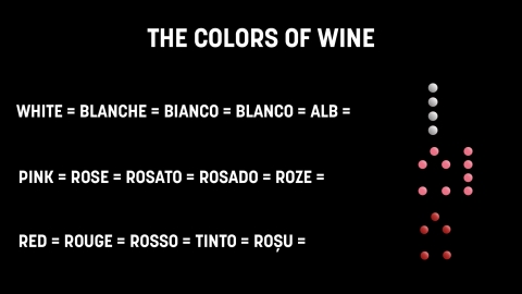 Premieră revoluționară, la WineUp: primele etichete incluzive