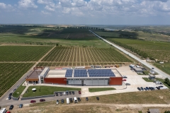 Investiție de peste cinci milioane de euro în Dobrogea. Alira Grand Vins a inaugurat Crama Aliman