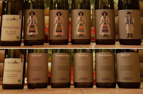 Flashtasting hibernal cu vinurile noii crame Lechburg