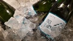 Vinuri spaniole pentru toate gusturile și buzunarele