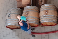 La Crama MaxiMarc, împreună cu cei mai mici degustători neautorizați...